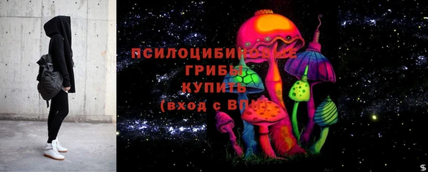 трава Зерноград