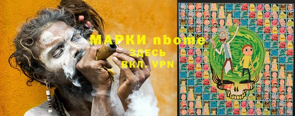гашик Зеленокумск