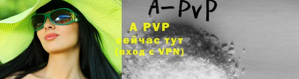 гашик Зеленокумск