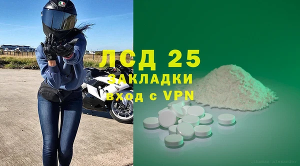гашик Зеленокумск