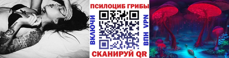Купить где  Венёв  Галлюциногенные грибы мухоморы 